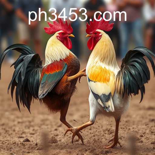 The Tradition and Controversy of Cockfighting: An In-depth Look